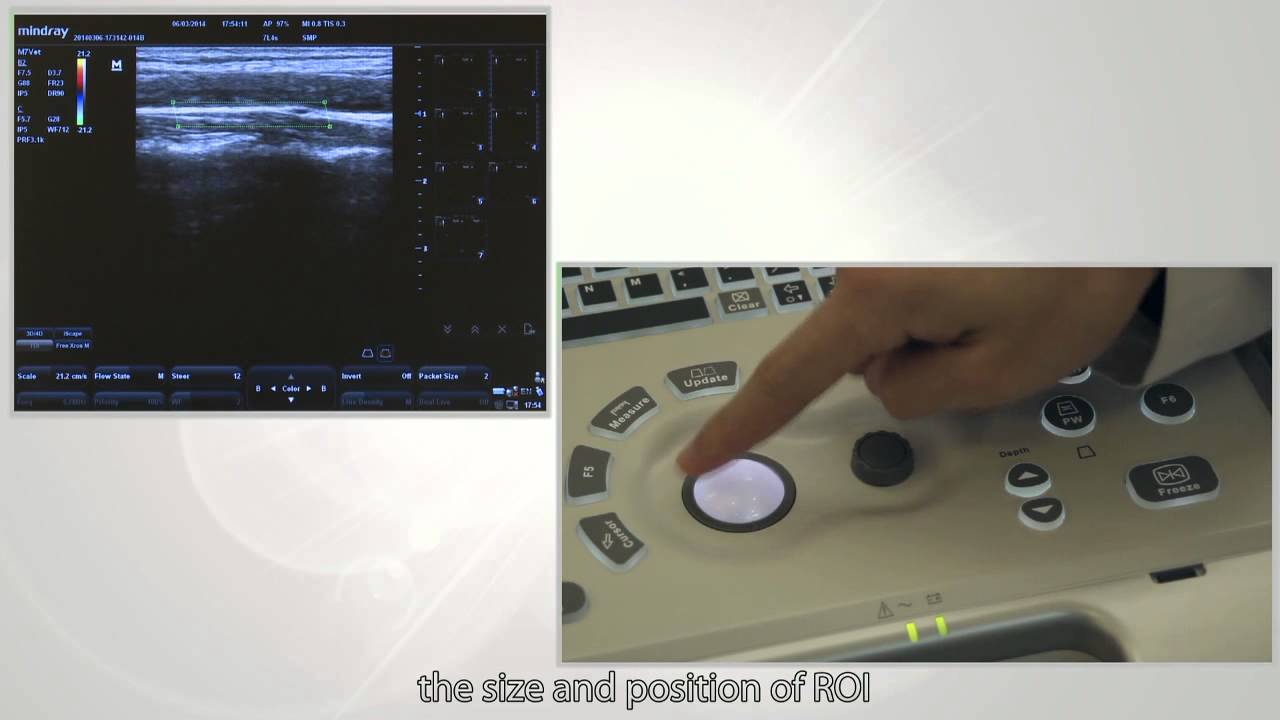 Training video of M7 Vet