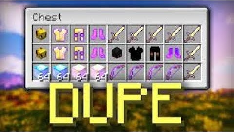 Hypixel Skyblock Dupe Glitch NOT PATCHED!!