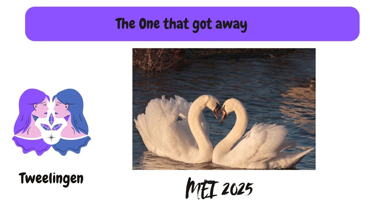 TWEELINGEN tarot MEI 2025 -The One that got away