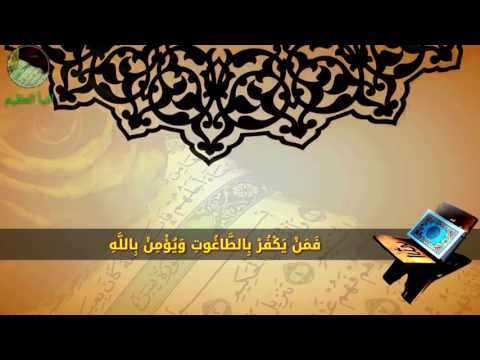 آية الكرسي كريم المنصوري 