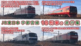 JR東日本/宇都宮線走行集【その29】EF81-95号機+ホキ800形郡山廃車回送/特急きぬがわ3号253系1000番台/EF210-122号機+タキ 他【鉄道撮影フリー素材200】