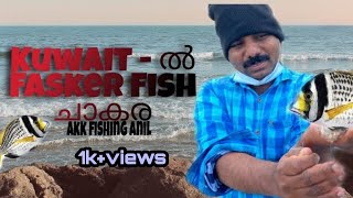 Kuwait -  (khiran) ൽ Fasker Fish  ചാകര /akk fishing anil