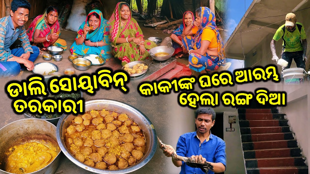 ଡାଲି ସୋୟାବିନ୍ ତରକାରୀ || ଘରେ ପଶିଲା ବିରଳ ଚଢ଼େଇ || କାକୀଙ୍କ ଘରେ ହେଲା ରଙ୍ଗ ଦିଆ || Tapan Sanju Family Vlog