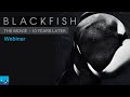 Blackfish Movie 10 Years Later Much Has Changed More To Go 
