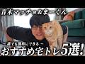 #26【孤独の宅トレ】誰でもできるおすすめトレーニング 5選！まーくんが可愛すぎて集中できません。