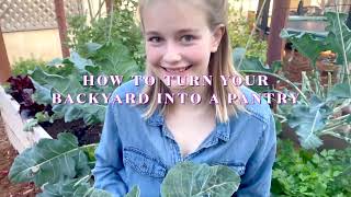 Top Organic Zero Waste Gardening Secrets ✨ || Grow a Thriving Plastic-Free Garden! 🌾