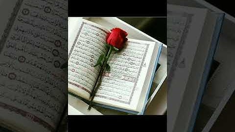 سورة الكهف #اسلام_صبحي #اكسبلور