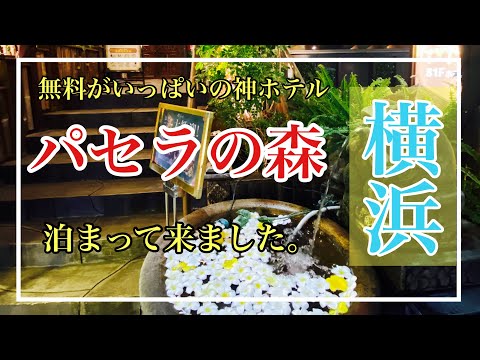 無料がいっぱいの神ホテル、【パセラの森】に泊まって来ました!アルコール飲み放題、おつまみ食べ放題!