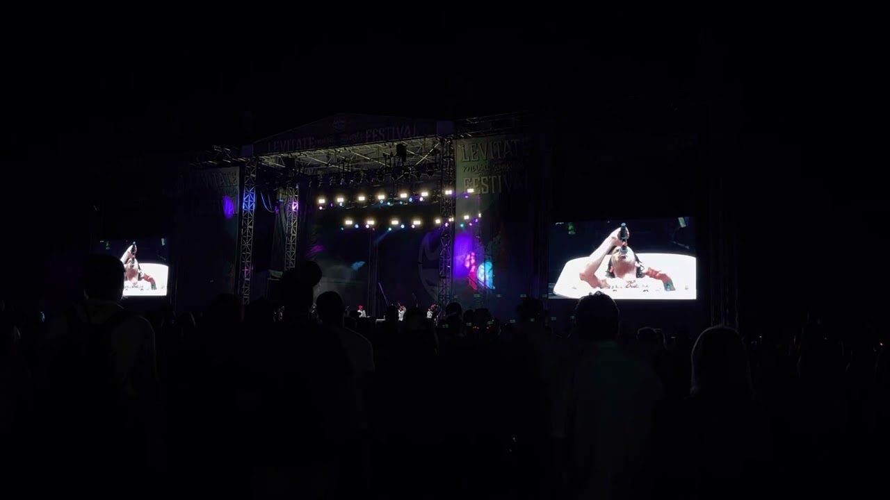 Vulfpeck - Levitate Music Festival 2022 - Theo Katzman singing