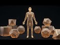 Brainworks - Neuro Physics of the Next Evolutionary Leap