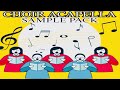 Choir Acapella Sample Pack ( Choirs Vocals Sounds )