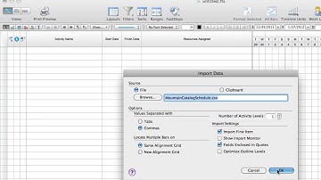 FastTrack Schedule 10 QuickTip Exchanging Data With Spreadsheets Mac HD