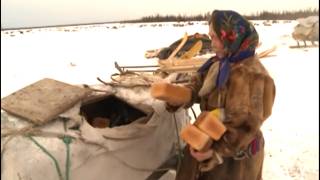 ancient vs modern technologies of reindeer people in Arctic