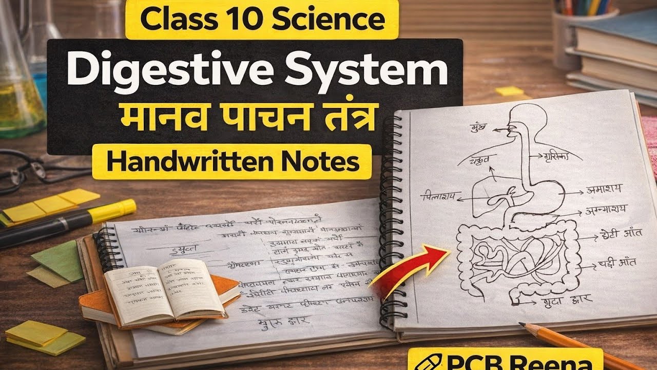 मानव पाचन तंत्र | Human Digestive System | Class 10 Notes(Science)