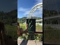 Black green is also very soothing
