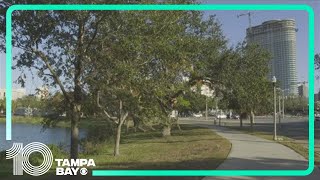Mirror Lake named official historic district in St. Pete