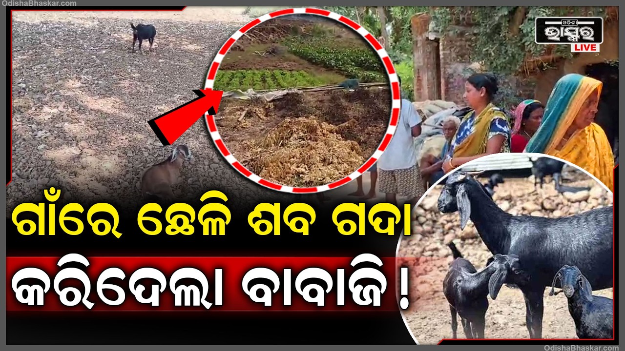 ଗାଁରେ ଛେଳି ସଫା କରିଦେଲା ବାବାଜୀ, ଗଦା ହୋଇଛି ଶ-ବ, କାନ୍ଦୁଛନ୍ତି ମହିଳା ମାନେ...