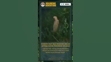 HORROR ! Niat Mancing malah bertemu sosok penunggu wilayah #shorts #fyp #horror #adventure #fishing