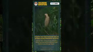 HORROR ! Niat Mancing malah bertemu sosok penunggu wilayah #shorts #fyp #horror #adventure #fishing