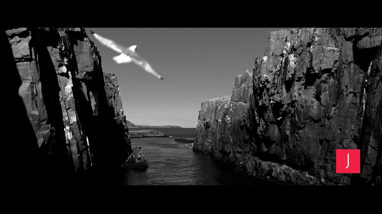 JAC, We Create | 2024–2025 Video Reel