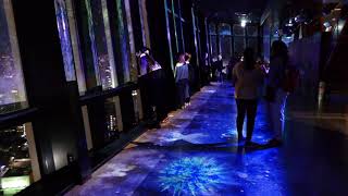 Scene From Tokyo Tower S City Light Fantasia 18 Part 1 Of 2 Raw Video Youtube