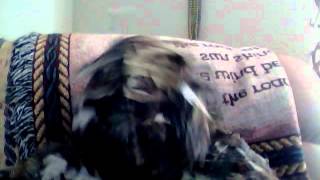 Capture 20120802