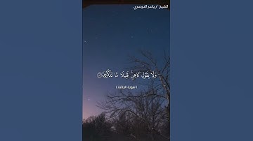 سورة الحاقة من آية 38 إلى آية 47 بصوت الشيخ ياسر الدوسري♥♥