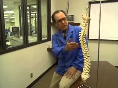 Video: Prevención De La Rotura De La Espalda