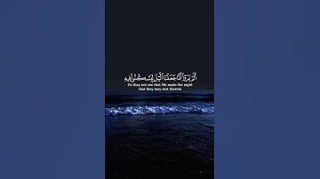 ارح قلبك بآيات الله ❤️🌿 #قرآن_بصوت_هادئ #راحة_نفسية #اكسبلور #المصحف #حالات_واتس #الرحمن