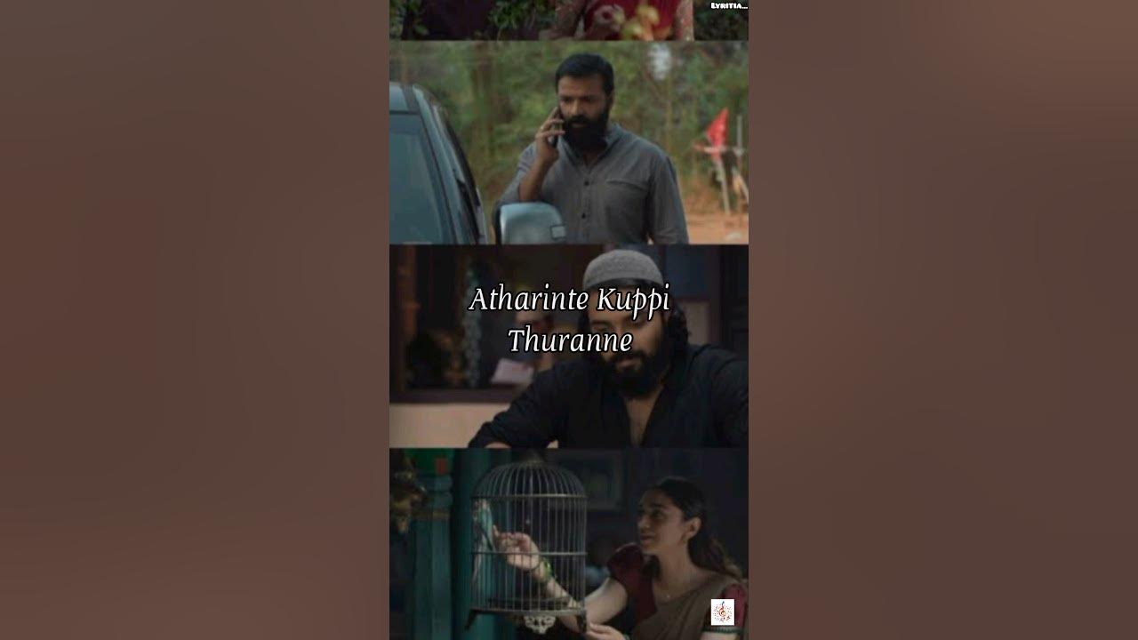 Vathikkalu Vellaripravu Lyrics | Lyritia... #lyricvideo #soofiyumsujathayum