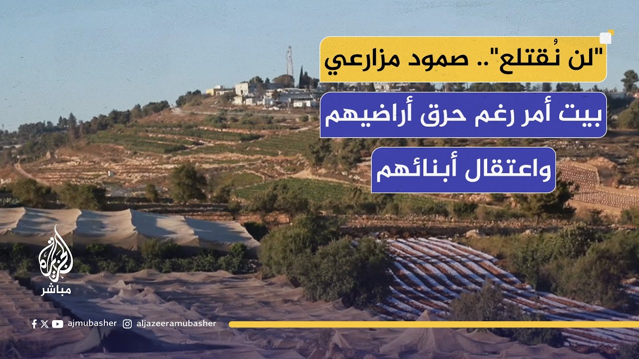 بيت أمر تحت الضغط.. توسع استيطاني يلتهم الأراضي والأهالي يتمسكون بالجذور