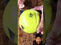 comport #fruit #cuttingart #fruitcutting #video #farmingtraditions #viral#farming101 #youtubeshorts