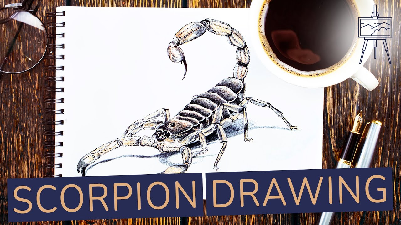 How To Draw Scorpions Step by Step Drawing Guide by MichaelY   dragoartcom  Scorpion tattoo Hand tattoos for guys Scorpion