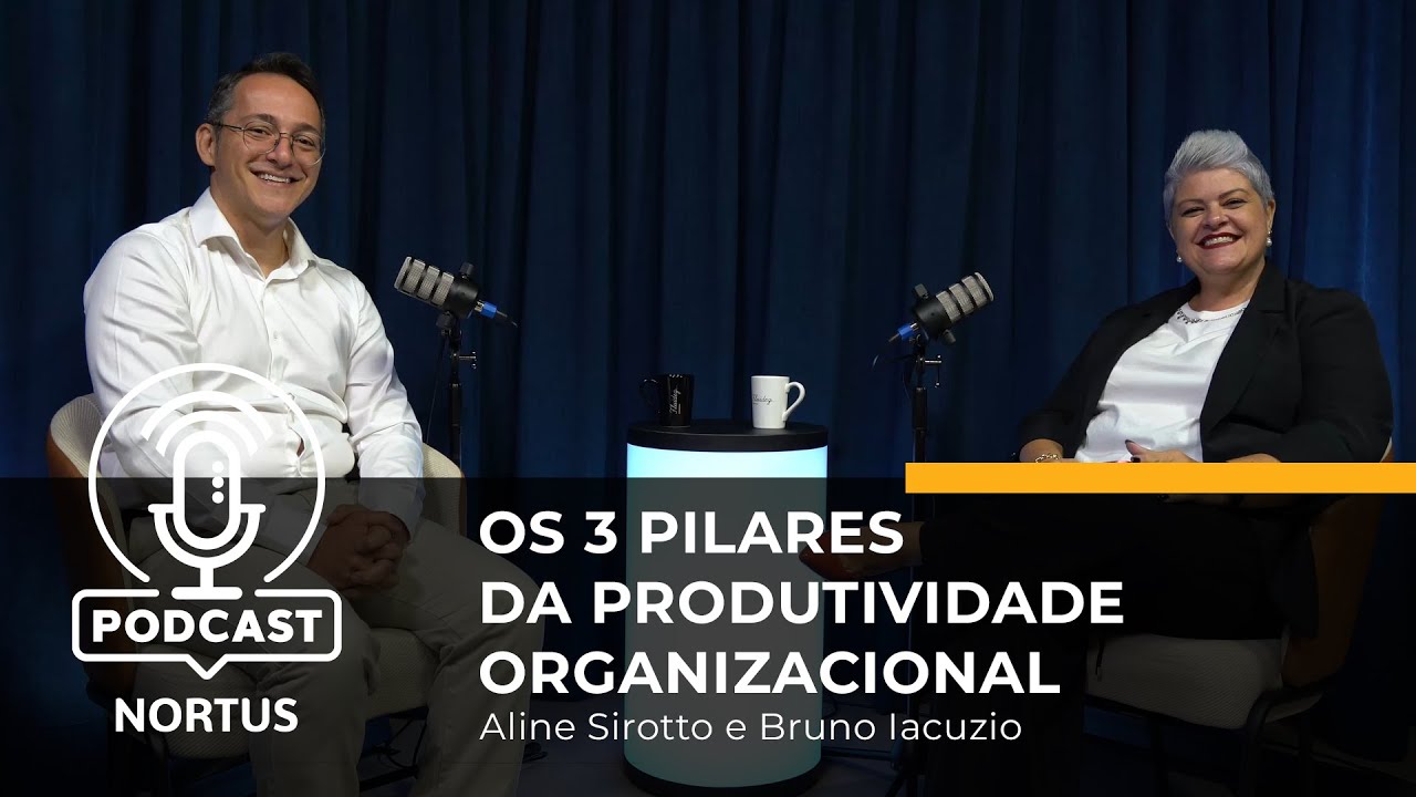 Produtividade na empresa: estrutura organizacional, técnica e comportamental