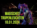 Magisches Tropenleuchten (Zoo Leipzig)