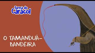 Vídeo de O Tamanduá