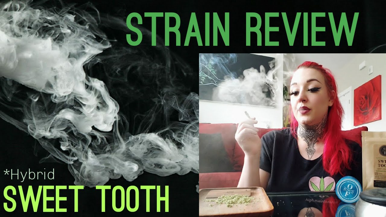 Strain Review| Sweet Tooth | TreeFrog Farms