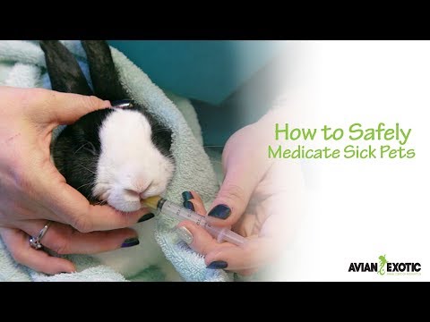 How to Set Up a Nebulizer for Your Exotic Pet - YouTube