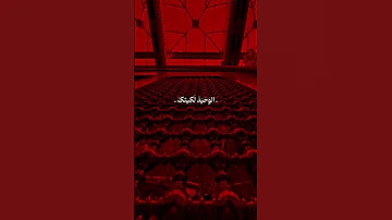 اعيش واعاشر واحب من نظره اولى 