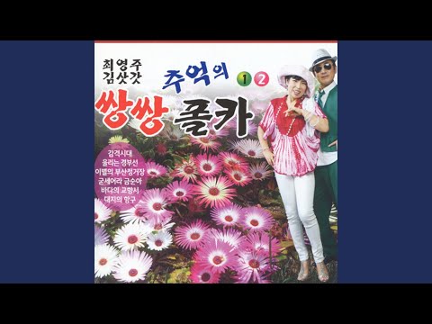 청춘의 꿈