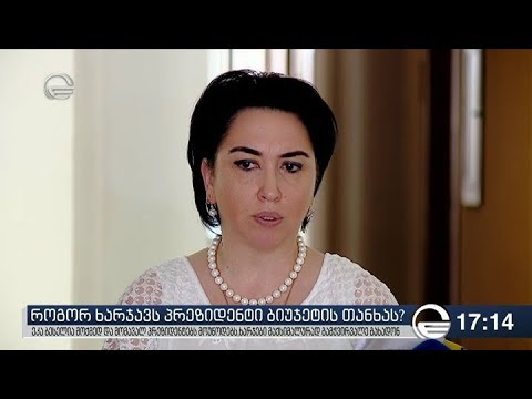 ბესელია: დაუშვებელია, მოსახლეობამ არ იცოდეს რაში ხარჯავს პრეზიდენტი თანხას