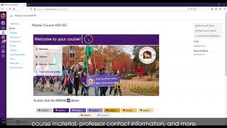 Introduction to CANVAS for International Students- English