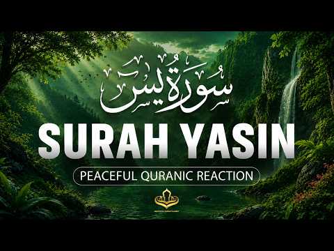 Surah Yaseen سورة يس | Heart Touching Quran Recitation | Peace, Healing & Tranquility #surahyaseen
