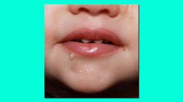 The Bulletproof Tiger - You Wanna Kiss About it? (Extended) - [Full Album]