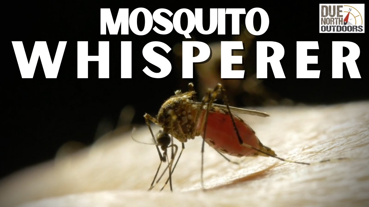 Minnesota's Mosquito Whisperer