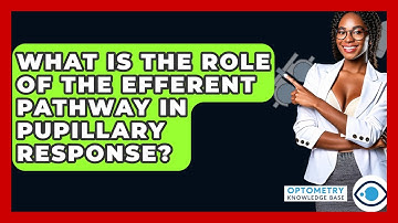 What Is The Role Of The Efferent Pathway In Pupillary Response? - Optometry Knowledge Base