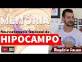 HIPOCAMPO E ÁREAS DE MEMÓRIA: Neuroanatomia Funcional (Vídeo Aula) - Rogério Souza