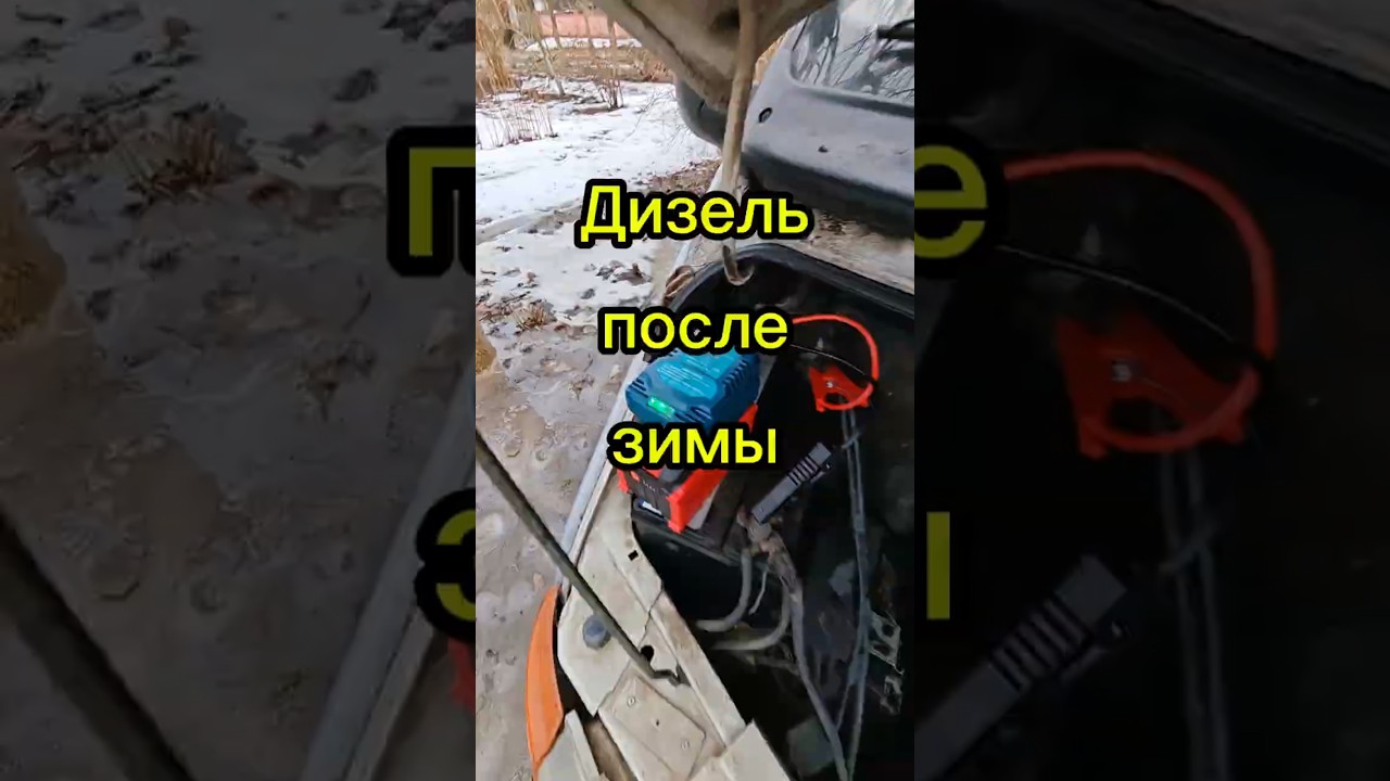 дизель, после зимы