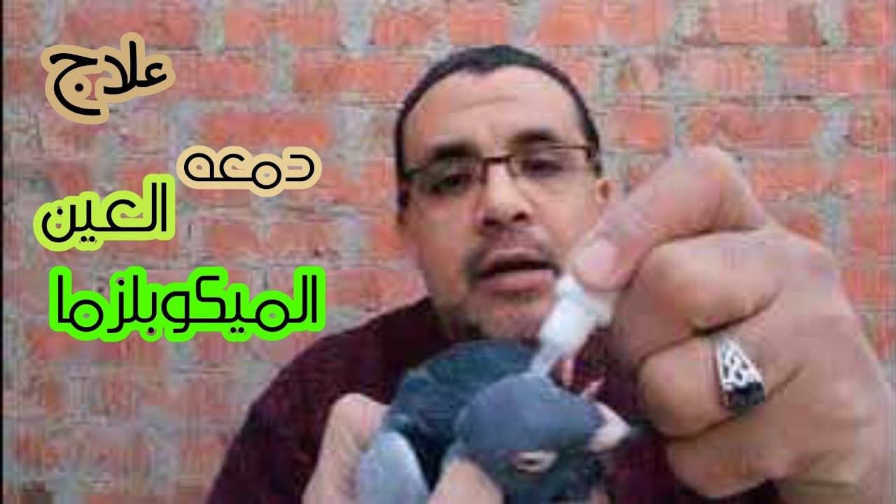 دمعه العين أو الميكوبلزما عند الحمام والتهاب العين