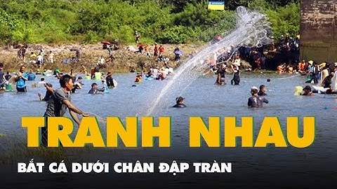 Cả ngàn người tranh bắt cá dưới chân đập tràn khi thủy điện Trị An ngừng xả lũ